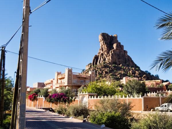 Napoleons Hat in Morocco Tafraoute