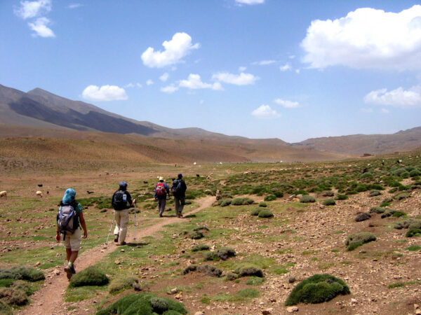 plateau de tarkeddit au pied du mgoun maroc 10687